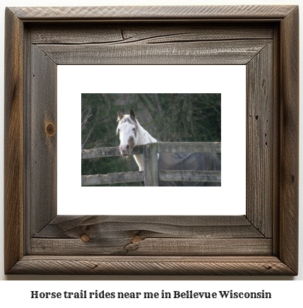 horse trail rides near me in Bellevue, Wisconsin